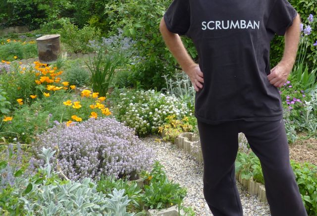 ScrumBan au jardin