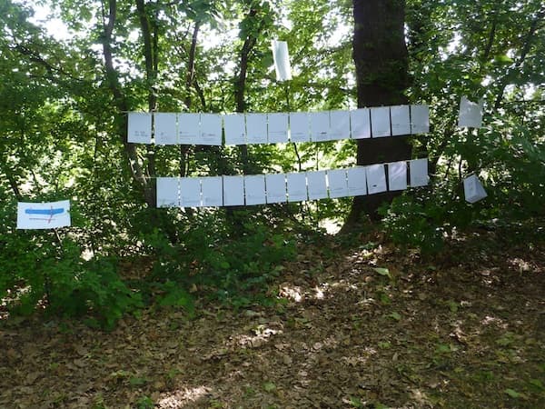 Un backlog dans les platanes