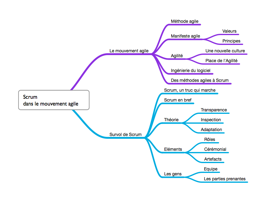 Structure du chapitre 1