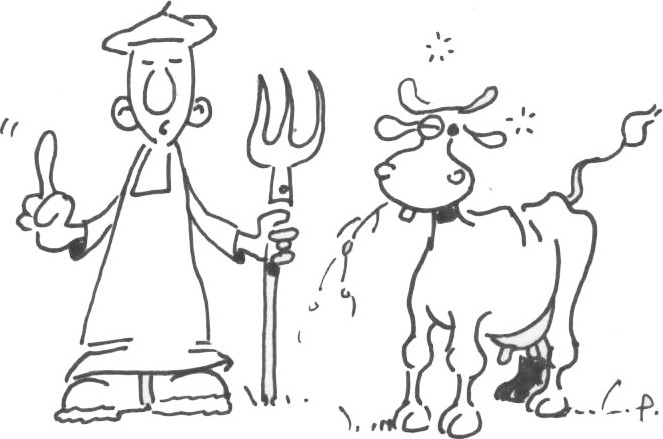 Scrum quotidien