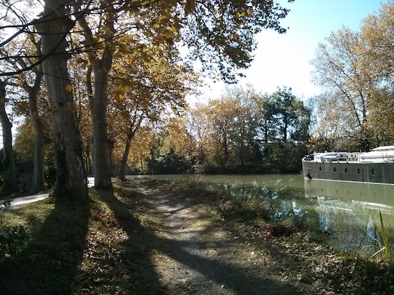 Châtaigne