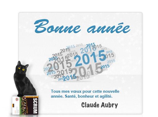L'année 2015