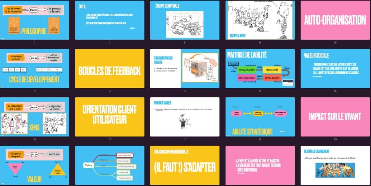 Interprétation radicale du Manifeste agile