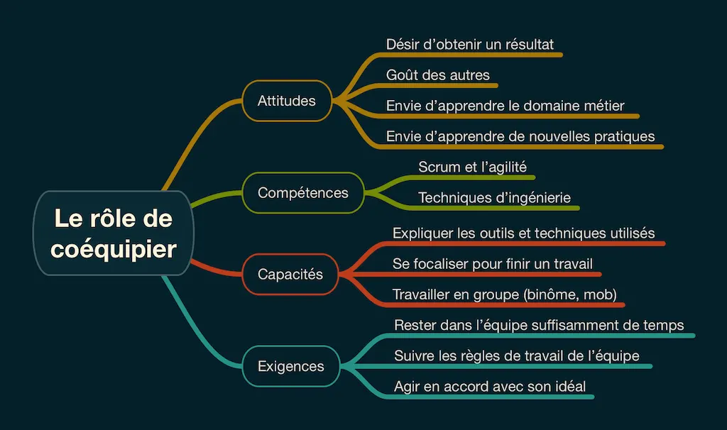 Les caractéristiques d'un coéquipier