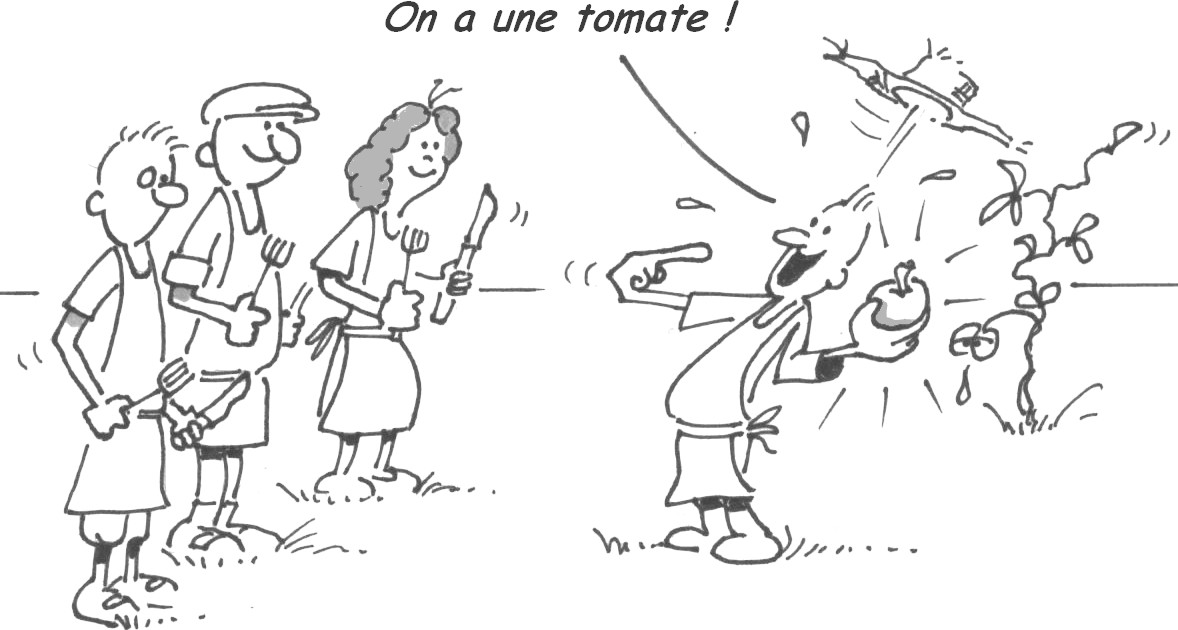 Le rôle de partie prenante