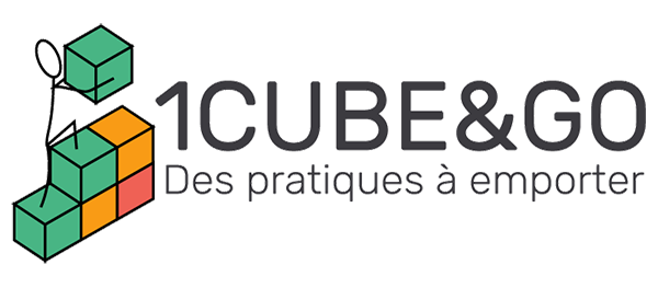 Les cubes débarquent à Toulouse